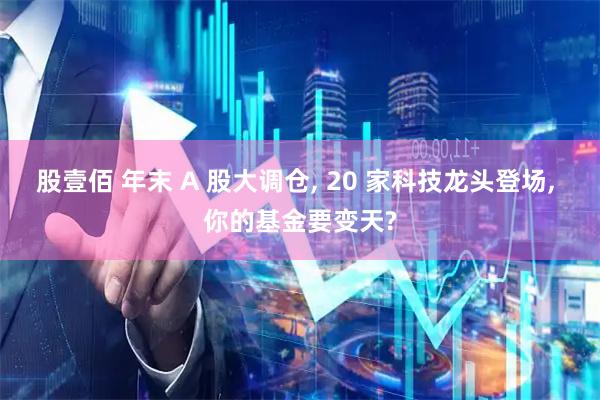 股壹佰 年末 A 股大调仓, 20 家科技龙头登场, 你的基金要变天?